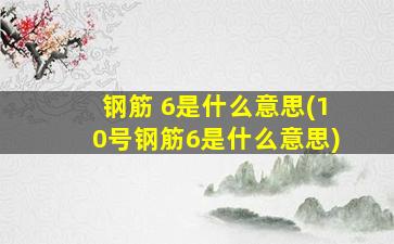 钢筋 6是什么意思(10号钢筋6是什么意思)